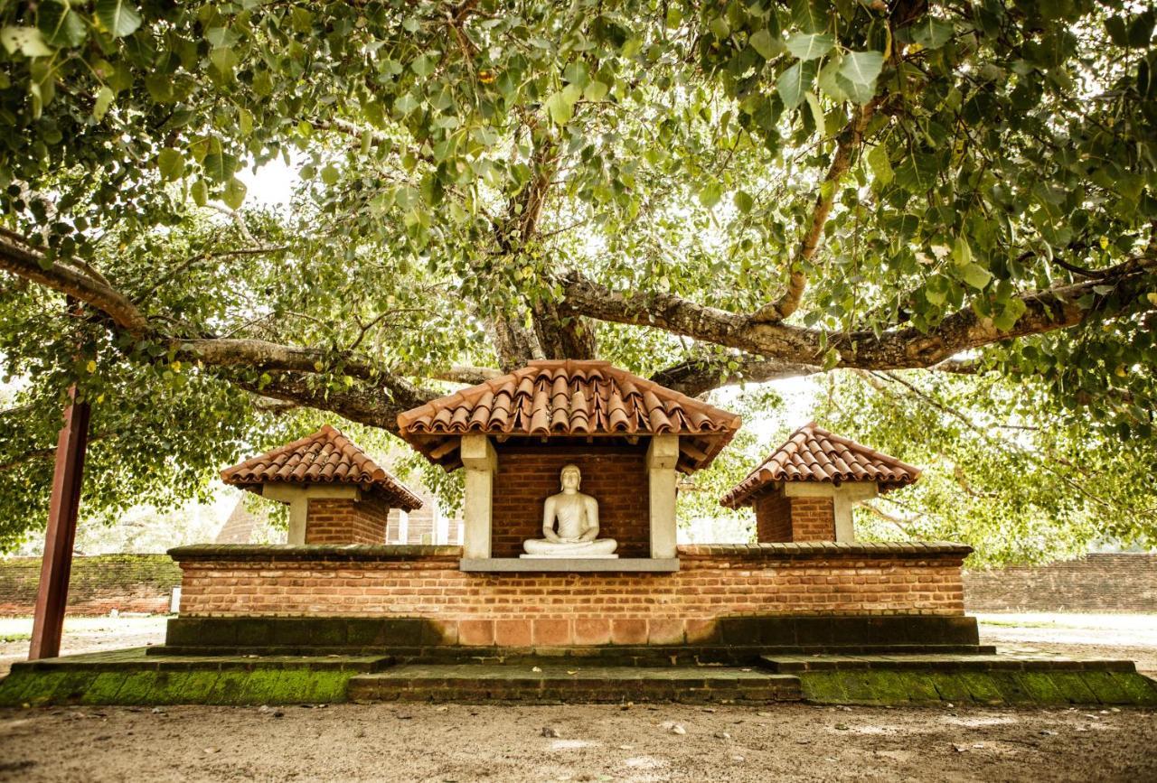 Thaulle Ayurveda Resort - Yala Tissamaharama Buitenkant foto