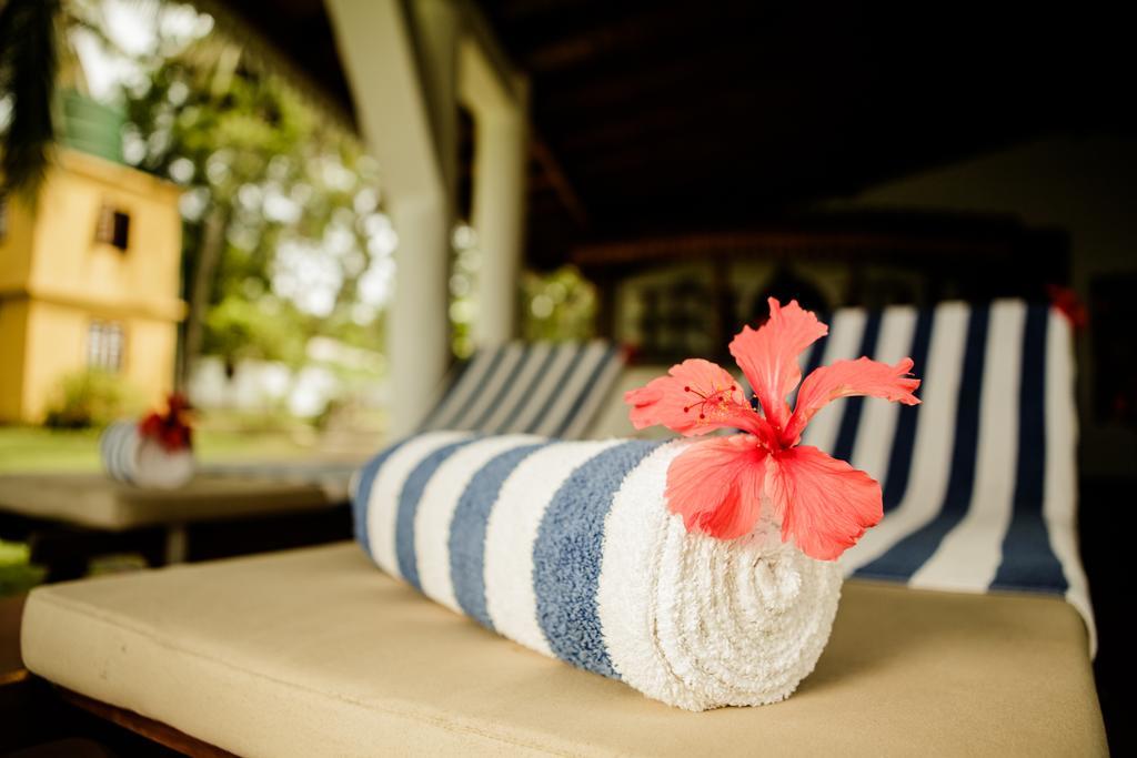 Thaulle Ayurveda Resort - Yala Tissamaharama Buitenkant foto